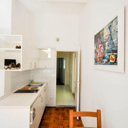 Palme Apartment Novigrad Istria 외부 사진