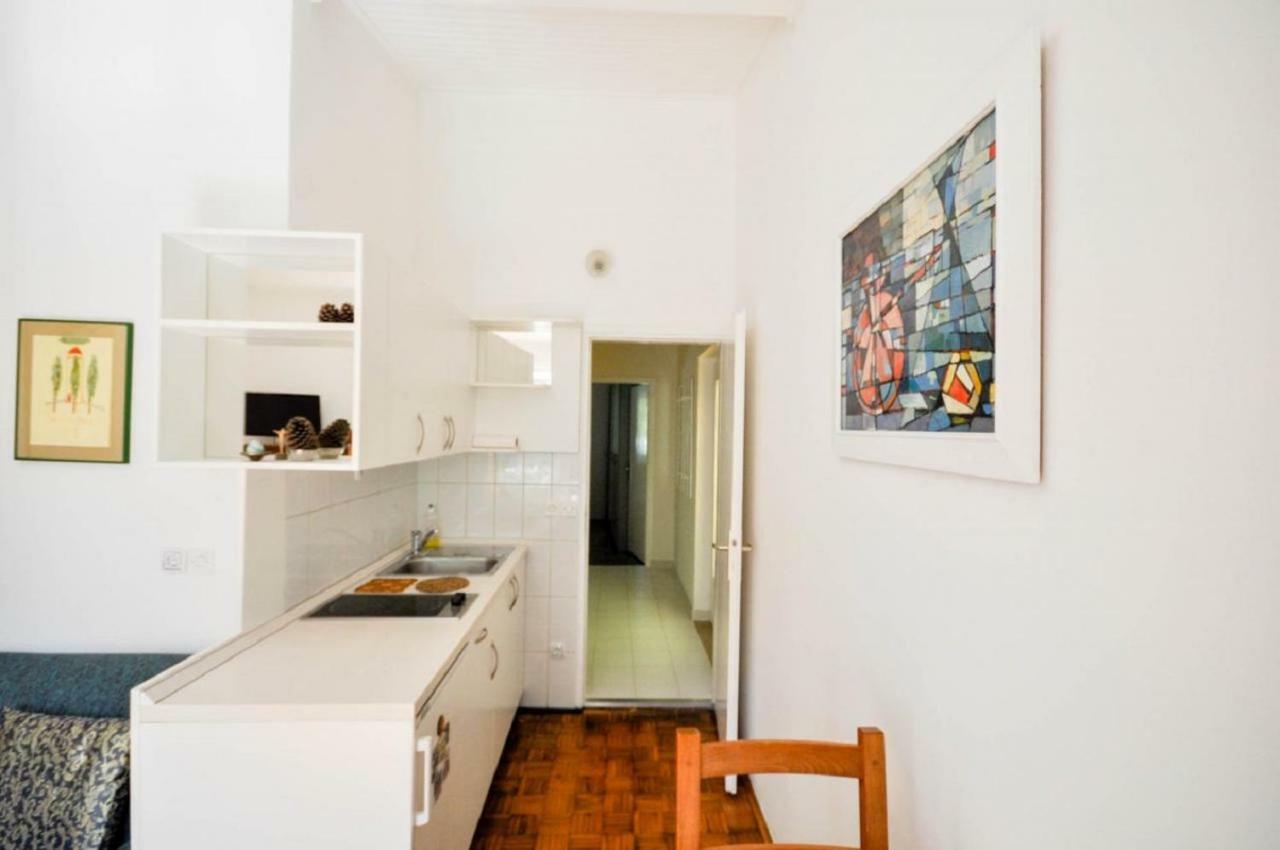 Palme Apartment Novigrad Istria 외부 사진